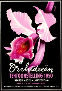 Orchideeën Tentoonstelling, Amsterdam, 1950.. Free illustration for personal and commercial use.