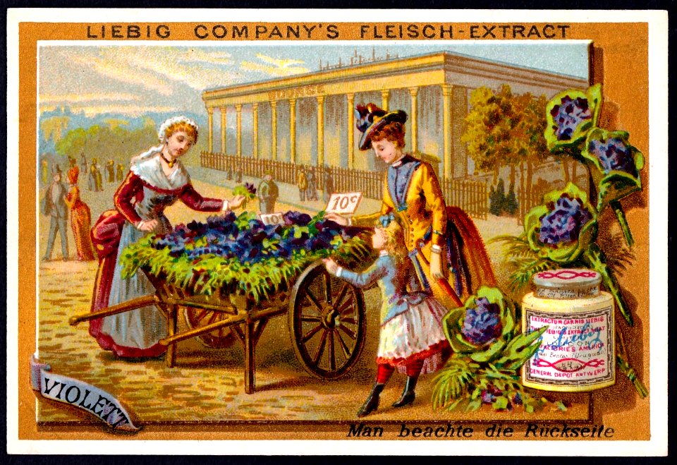Liebig Trading Card, S170, Colours, Violet, Liebig Meat Extract, German issue, 1886.