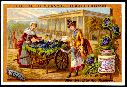 Liebig Trading Card, S170, Colours, Violet, Liebig Meat Extract, German issue, 1886.
