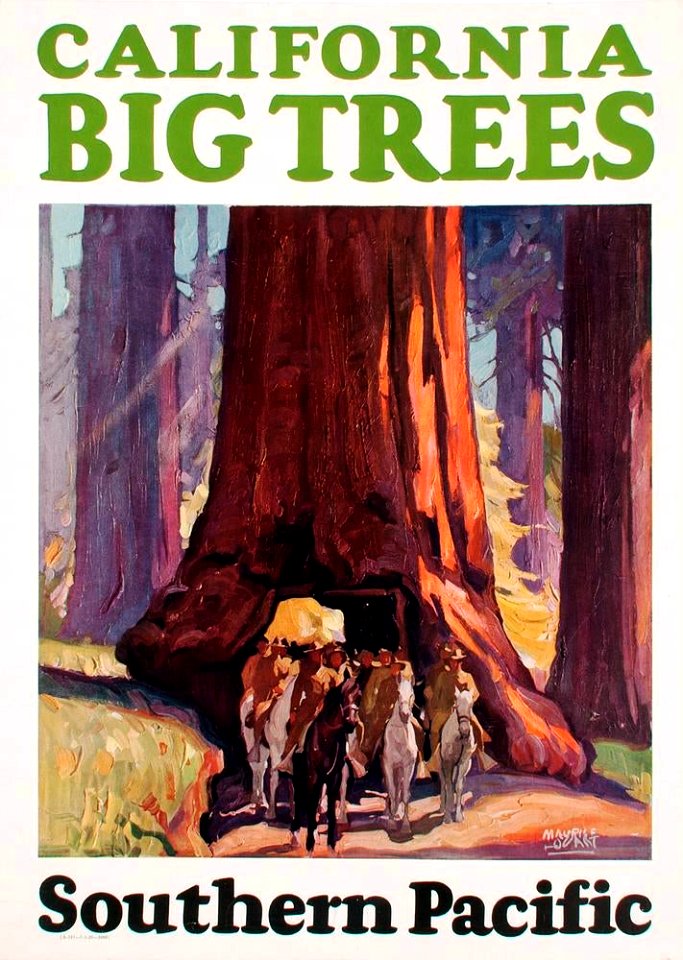 LOGAN, Maurice George (1886–1977).  🇺🇸 California Big Trees, Southern Pacific, c. 1928.
