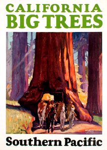 LOGAN, Maurice George (1886–1977).  🇺🇸 California Big Trees, Southern Pacific, c. 1928.