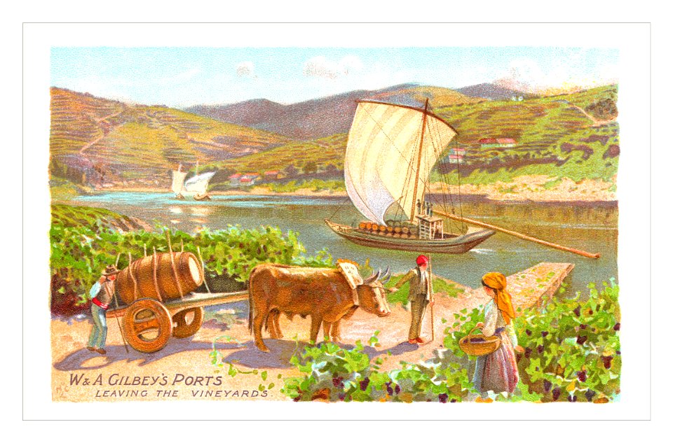 Gilbey’s Ports postcard
