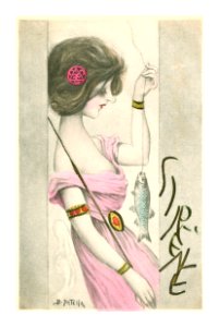 B Patella postcard