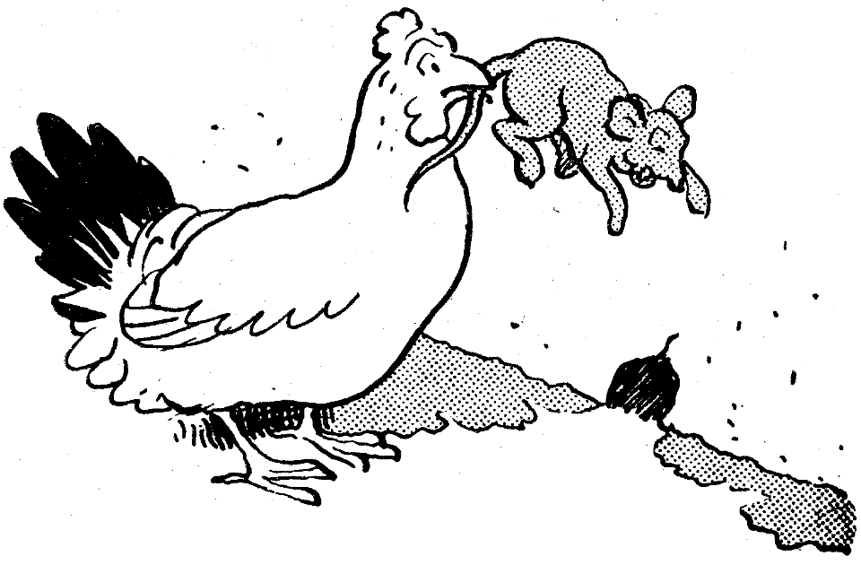 contes de la chèvre noire-33