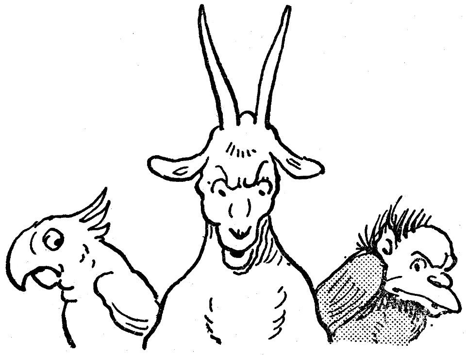 contes de la chèvre noire-26