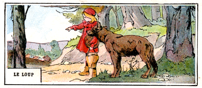 le loup