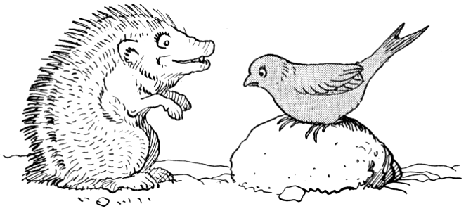 contes de la chèvre noire-20
