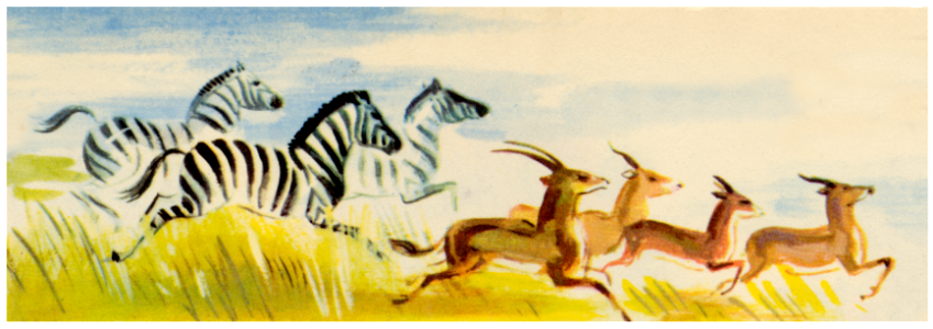 zèbres et antilopes