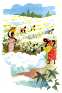 coton