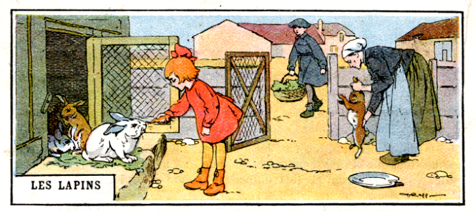 les lapins