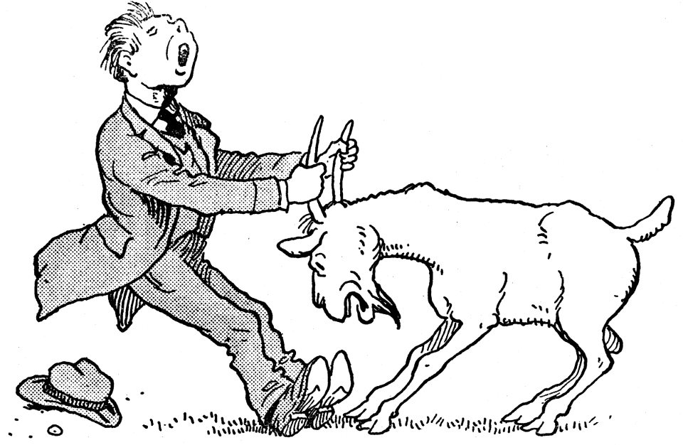 contes de la chèvre noire-25