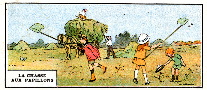 la chasse aux papillons