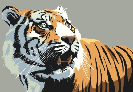 Burning Bright tiger animal. Free illustration for personal and commercial use.