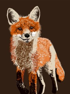 Fox animal. Free illustration for personal and commercial use.