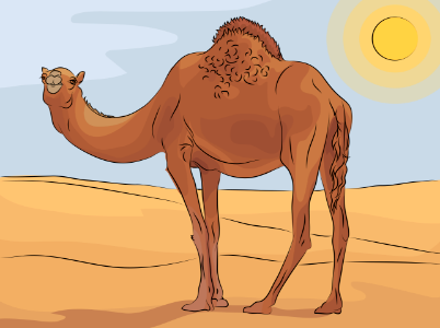 Camel. Free illustration for personal and commercial use.