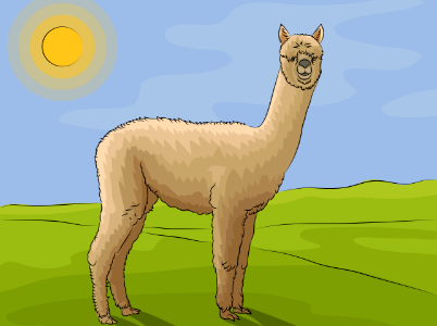 Alpaca. Free illustration for personal and commercial use.