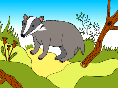 Badger. Free illustration for personal and commercial use.