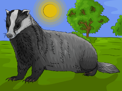 Badger. Free illustration for personal and commercial use.