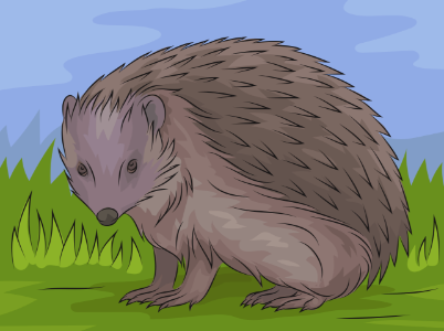 European hedgehog. Free illustration for personal and commercial use.