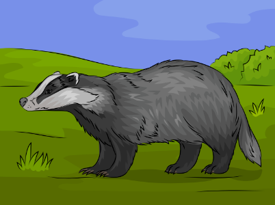 European badger. Free illustration for personal and commercial use.