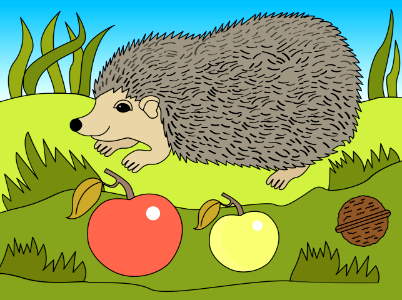 Hedgehog. Free illustration for personal and commercial use.
