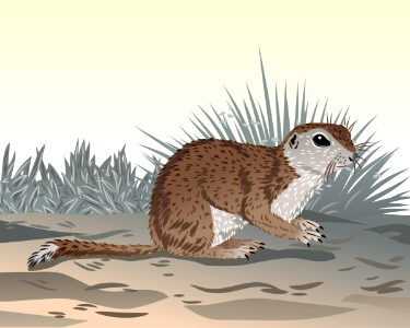 Mohave ground squirrel. Free illustration for personal and commercial use.