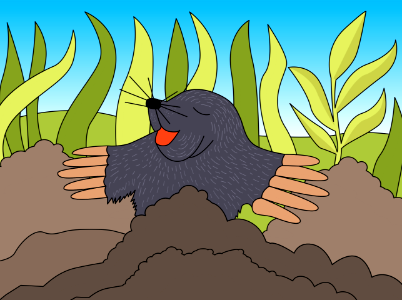 Mole. Free illustration for personal and commercial use.