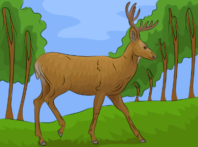 Mule-deer. Free illustration for personal and commercial use.