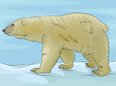 Polar Bear. Free illustration for personal and commercial use.