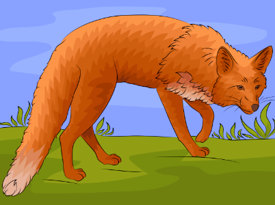 Red fox. Free illustration for personal and commercial use.