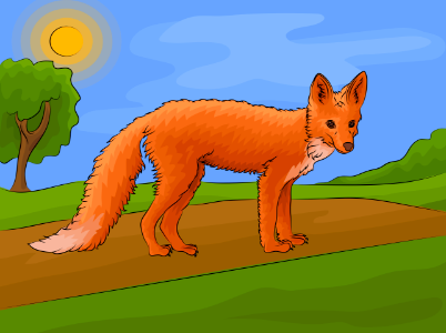 Red fox. Free illustration for personal and commercial use.