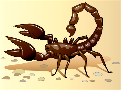Scorpion. Free illustration for personal and commercial use.
