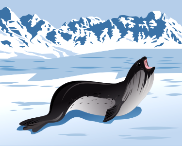 Ross Seal. Free illustration for personal and commercial use.