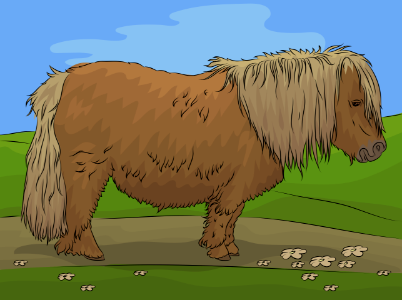 Shetland Pony. Free illustration for personal and commercial use.