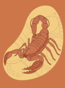 Steampunk Scorpion. Free illustration for personal and commercial use.