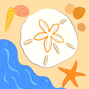 Sea shells and stars. Free illustration for personal and commercial use.