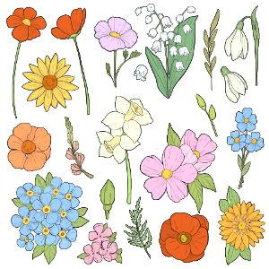 Spring flowers. Free illustration for personal and commercial use.