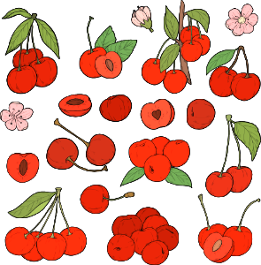 Cherry. Free illustration for personal and commercial use.