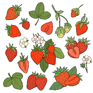 Strawberry berries. Free illustration for personal and commercial use.