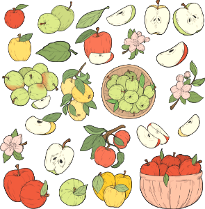 Apple. Free illustration for personal and commercial use.