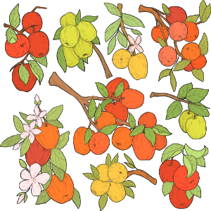 Apple tree. Free illustration for personal and commercial use.