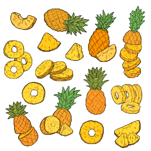 Pineapple. Free illustration for personal and commercial use.