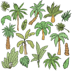 Palm tree. Free illustration for personal and commercial use.