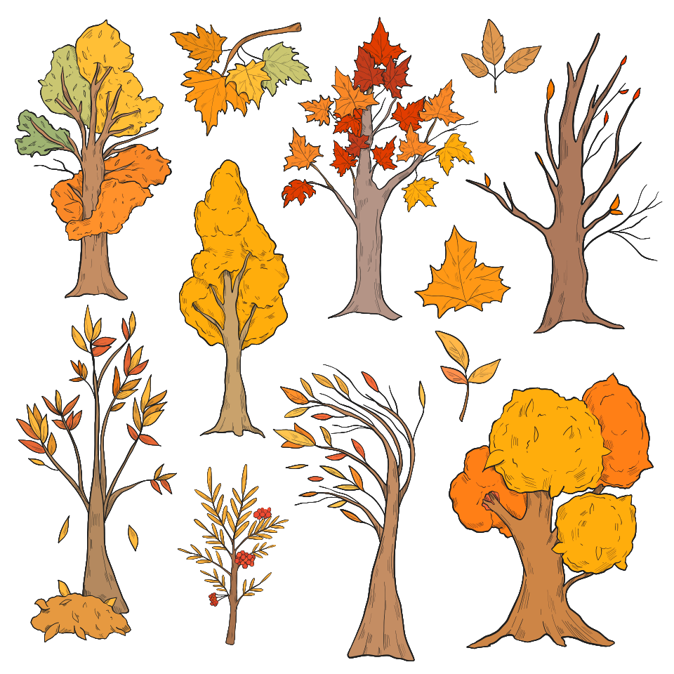 Set of fall trees. Free illustration for personal and commercial use.
