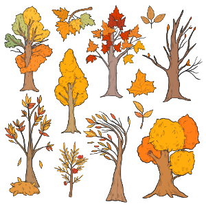 Set of fall trees. Free illustration for personal and commercial use.