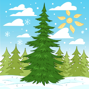 Evergreen tree. Free illustration for personal and commercial use.