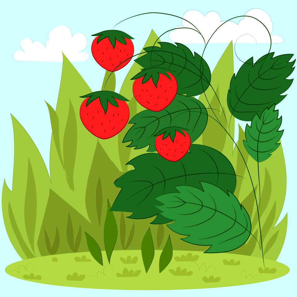 Strawberries. Free illustration for personal and commercial use.