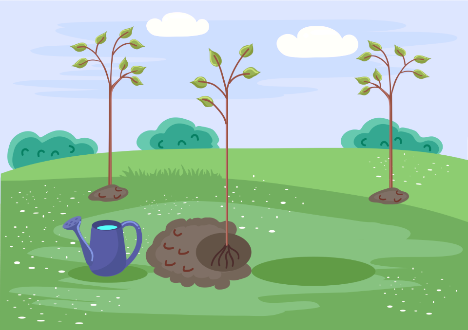 Young planted trees. Free illustration for personal and commercial use.