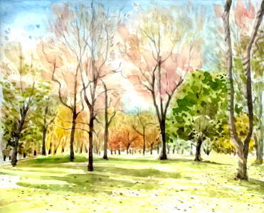 Watercolor forest painting. Free illustration for personal and commercial use.