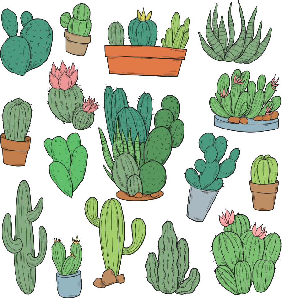 Cactus. Free illustration for personal and commercial use.